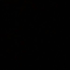 Meet your Posher, Elijah